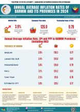 Annual Average Inflation Rates of BARMM and Its Provinces in 2024