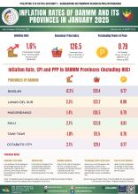 Inflation Rates of BARMM and Its Province in January 2025